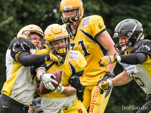 HR-17-07-01-16-50-31-0091