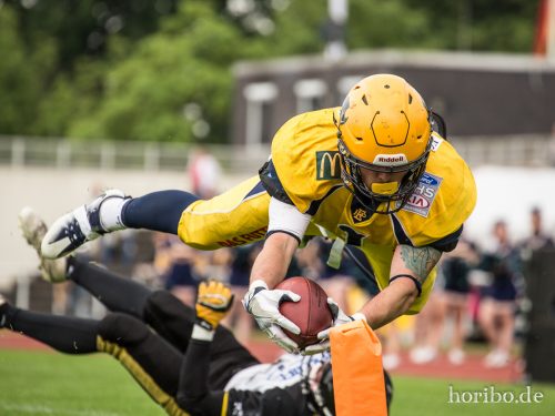 HR-17-07-01-16-54-09-0111