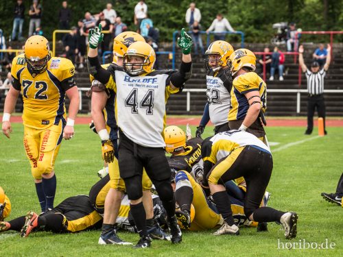 HR-17-07-01-17-05-41-0144