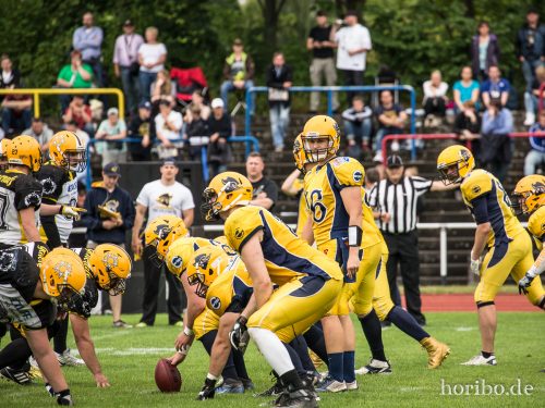 HR-17-07-01-17-08-38-0155