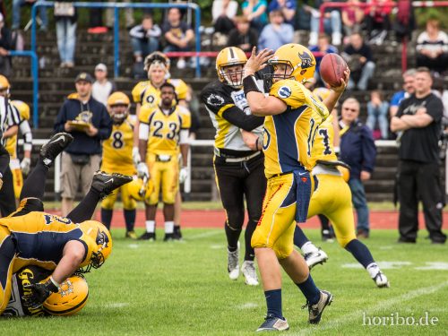 HR-17-07-01-17-10-17-0165