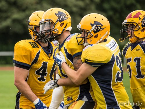 HR-17-07-01-17-22-16-0217