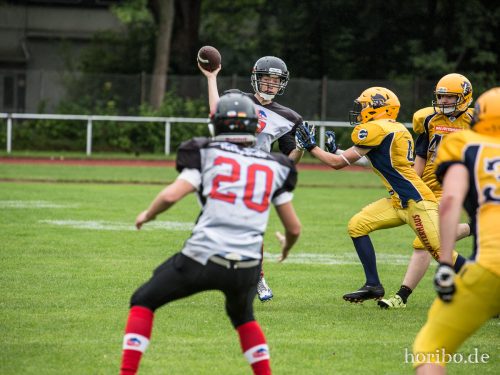 HR-17-07-02-12-13-24-0423