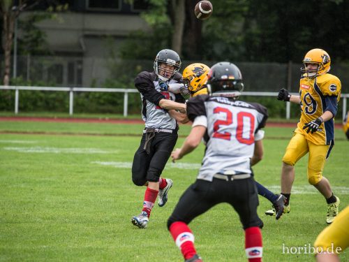 HR-17-07-02-12-13-24-0424