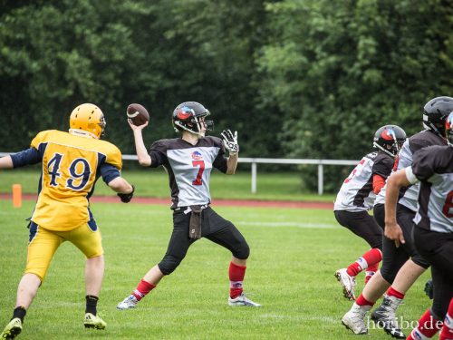 HR-17-07-02-12-14-53-0428