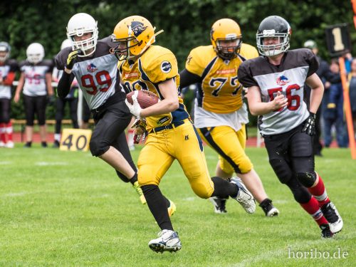 HR-17-07-02-12-20-54-0442