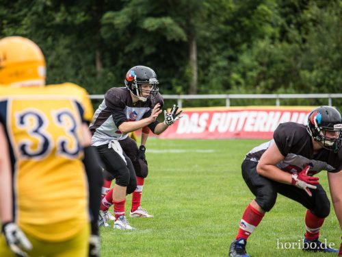 HR-17-07-02-12-25-13-0462