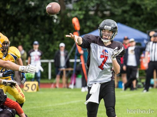 HR-17-07-02-12-43-37-0521