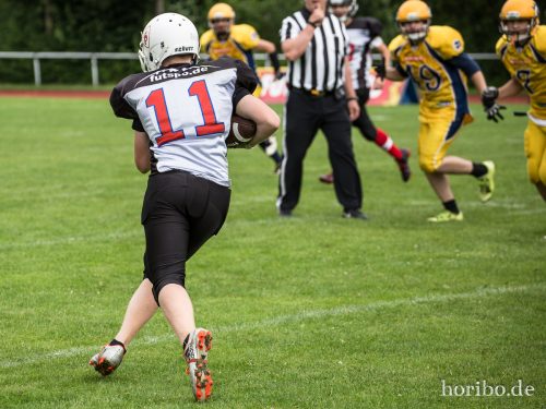 HR-17-07-02-12-43-39-0524