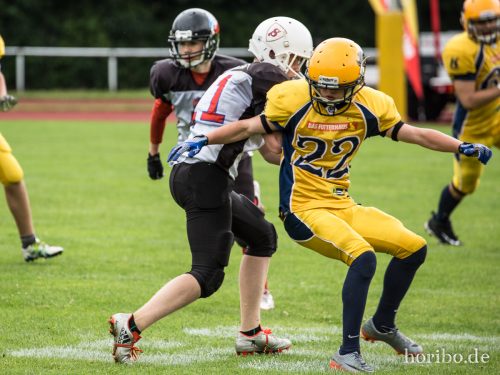 HR-17-07-02-12-45-01-0528