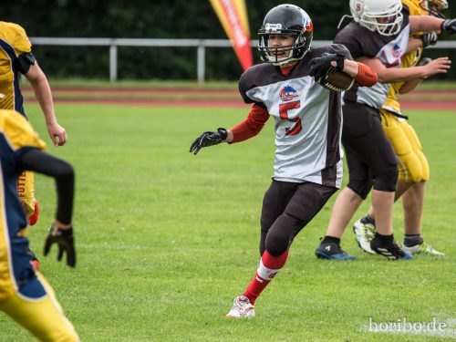 HR-17-07-02-12-45-01-0529