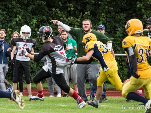 HR-17-07-02-12-45-47-0536