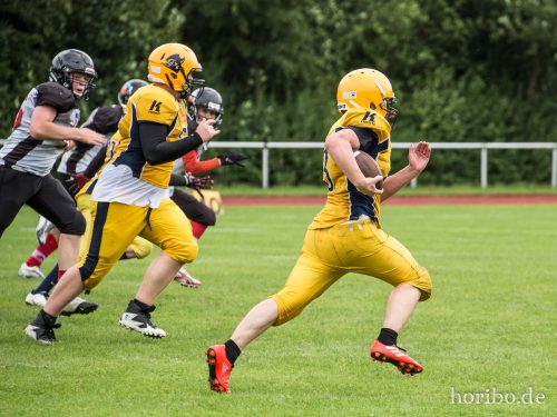 HR-17-07-02-12-46-29-0544