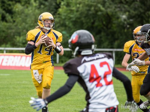 HR-17-07-02-12-47-28-0552