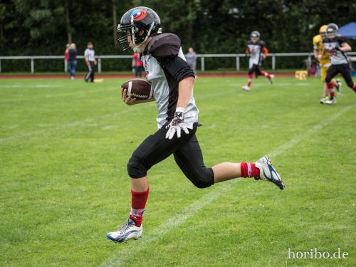 HR-17-07-02-12-55-42-0619