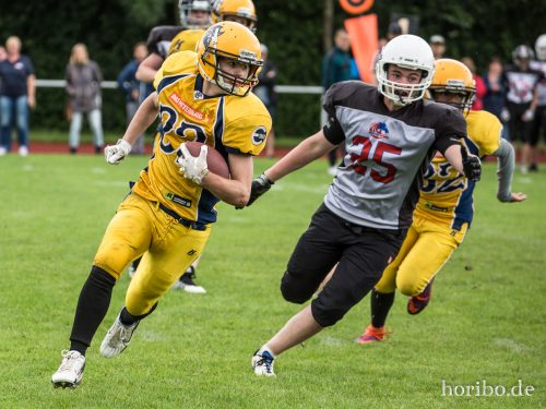 HR-17-07-02-13-02-38-0655