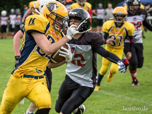 HR-17-07-02-13-02-39-0658