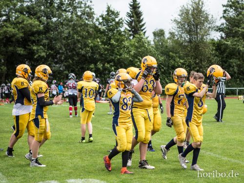 HR-17-07-02-13-13-26-0708