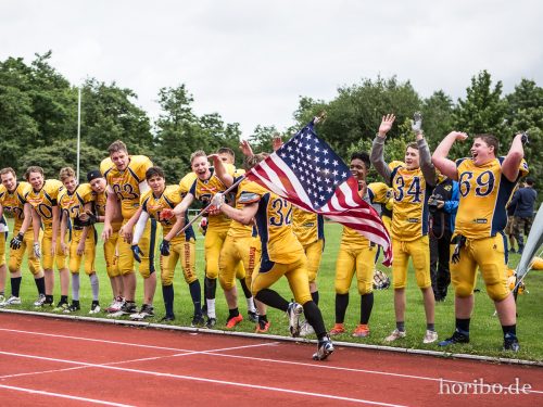 HR-17-07-02-13-15-13-0741