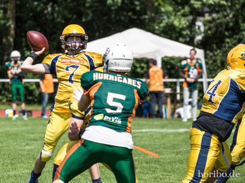 HR-17-07-02-15-06-06-0830