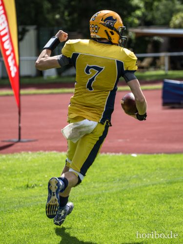 HR-17-07-02-15-19-13-0911