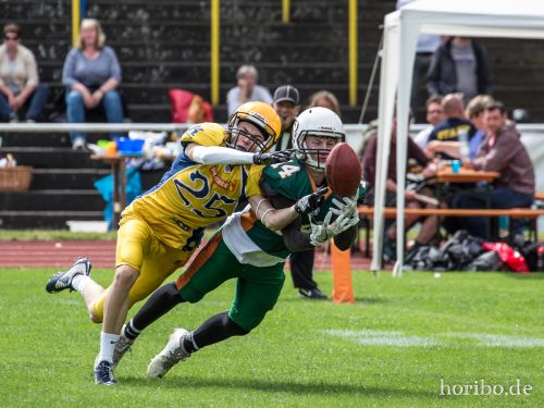 HR-17-07-02-15-25-56-0937