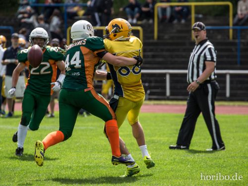 HR-17-07-02-15-32-48-0984