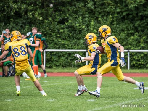 HR-17-07-02-15-51-07-1053