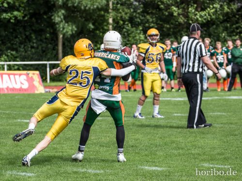 HR-17-07-02-16-30-28-1077