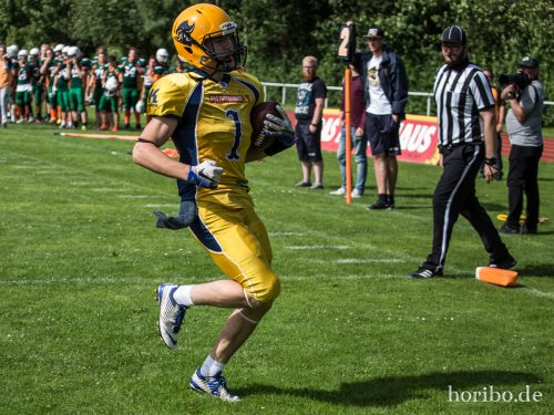 HR-17-07-02-16-40-02-1130