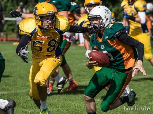 HR-17-07-02-16-43-19-1141