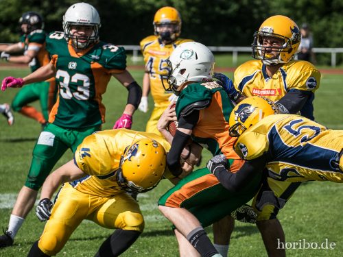 HR-17-07-02-16-43-20-1148