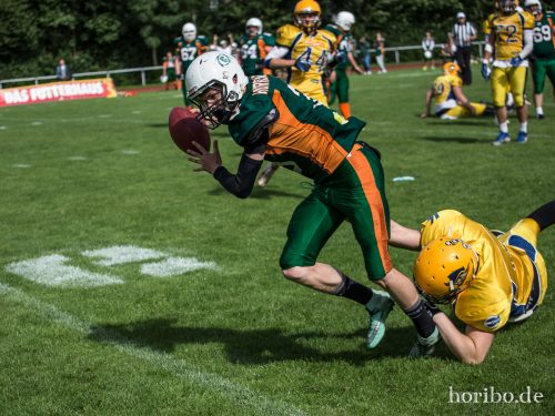 HR-17-07-02-16-51-43-1200