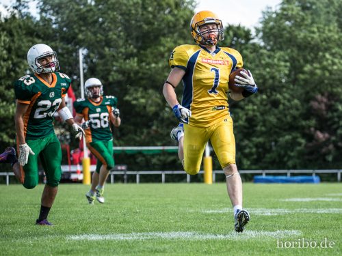 HR-17-07-02-17-19-56-1282