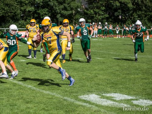 HR-17-07-02-17-22-01-1294