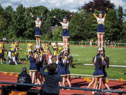 HR-17-07-02-17-37-09-1314