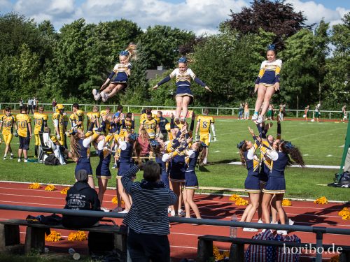 HR-17-07-02-17-37-12-1318