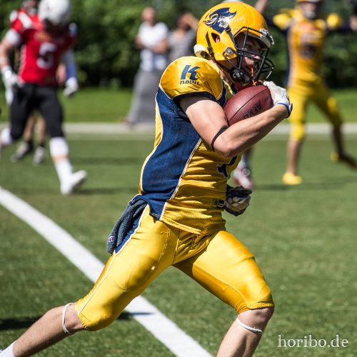 HR-17-07-09-15-24-43-1405