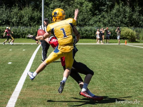 HR-17-07-09-15-34-52-1426