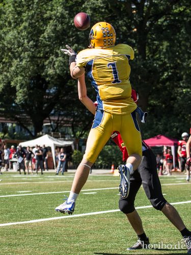 HR-17-07-09-15-49-17-1470