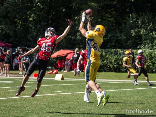 HR-17-07-09-15-50-00-1484