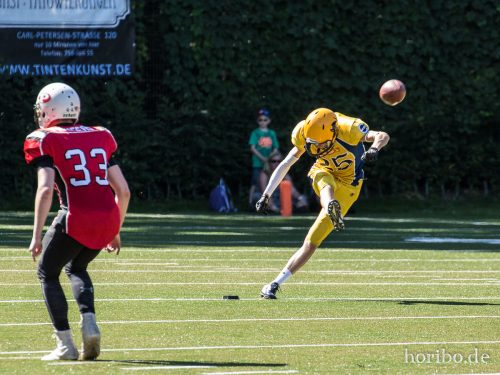 HR-17-07-09-16-15-26-1531