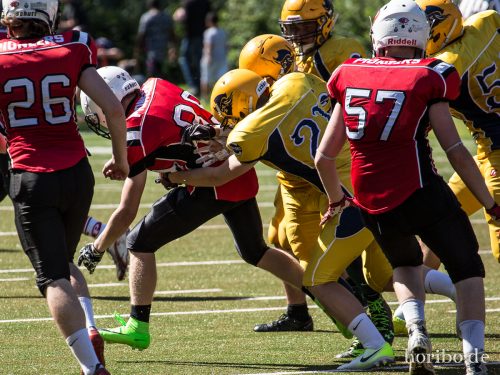 HR-17-07-09-16-15-36-1540