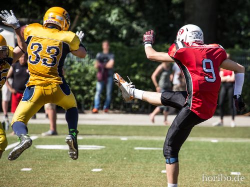 HR-17-07-09-16-18-07-1552