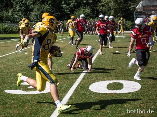 HR-17-07-09-16-21-09-1562