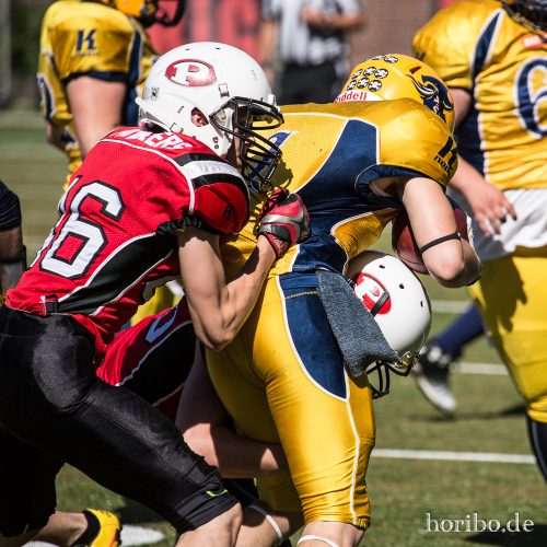 HR-17-07-09-16-21-50-1580