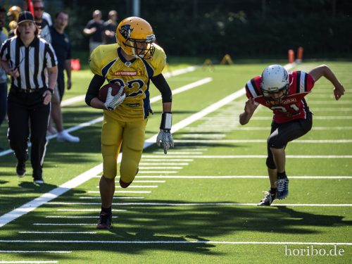 HR-17-07-09-16-32-30-1633