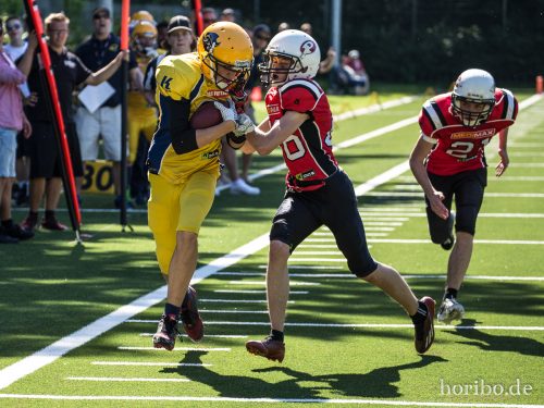 HR-17-07-09-16-32-30-1634