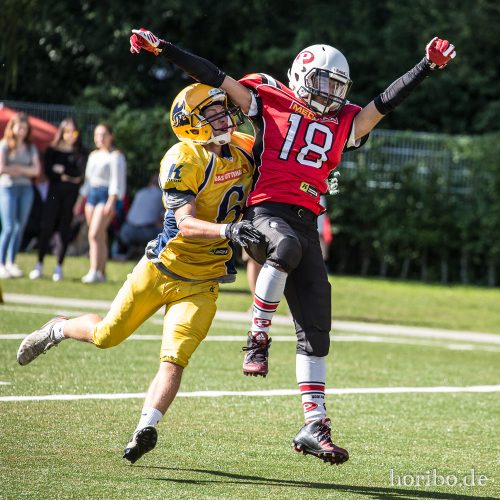 HR-17-07-09-16-52-32-1659