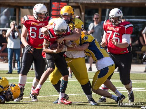 HR-17-07-09-17-02-02-1686